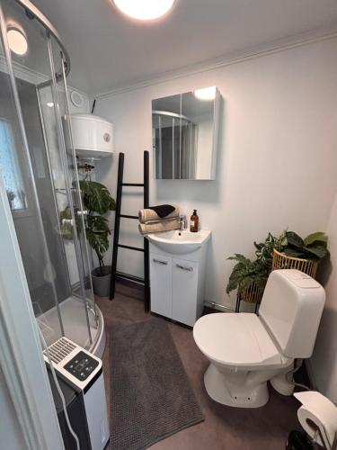 a bathroom with a shower and a toilet and a sink at Murrebo citystay in Örebro