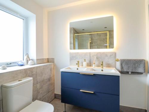 a bathroom with a blue sink and a mirror at Kingfisher in Talybont