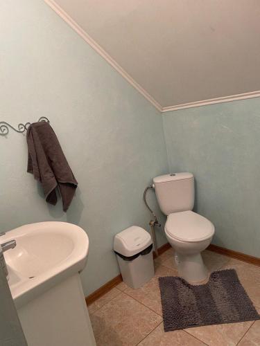 a bathroom with a white toilet and a sink at Ангеліна in Svityazʼ