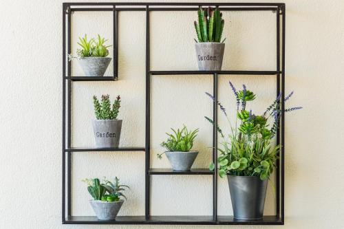 Window Paradise By ALzira