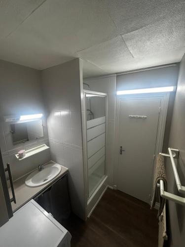 a small bathroom with a sink and a shower at Charmant T2 cosy au cœur de Caen Parking gratuit et arrivée autonome in Caen