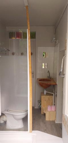 a bathroom with a toilet and a sink at Gîte des petits givrés in Entrains-sur-Nohain
