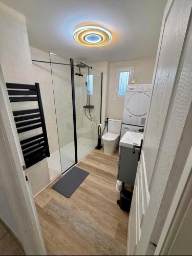 a bathroom with a shower and a toilet and a sink at La Jassette 7 in Saint-Pierre-dels-Forcats