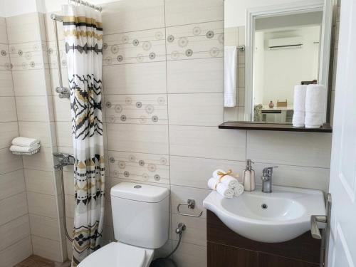 a bathroom with a toilet and a sink at Moussa Erato in Agia Anna Naxos