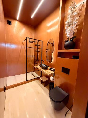 a bathroom with a shower and a toilet in a room at Demiani House in Sibiu