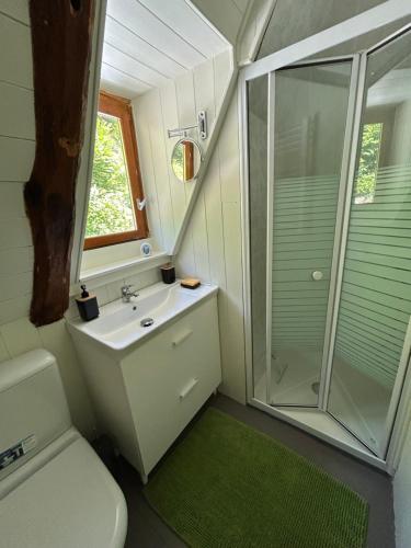 a bathroom with a toilet and a sink and a shower at L'Oustalou de Petit Jean in Cassaniouze