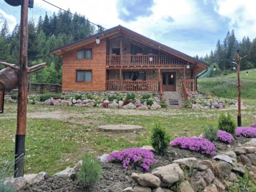 a log cabin with purple flowers in front of it at Cabana Luciana in Dămuc