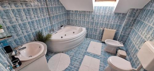 a bathroom with a tub and a toilet and a sink at The HOME in Ditrău