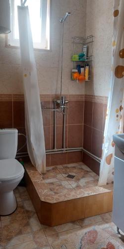 a bathroom with a shower and a toilet at Вікенд WeekEnd in Kvasy