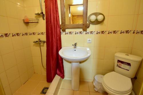 a bathroom with a toilet and a sink at Елізабет 1 in Svityazʼ