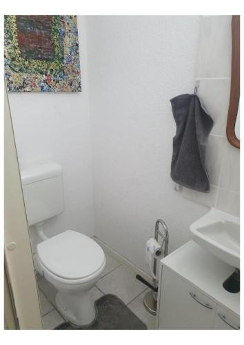 a white bathroom with a toilet and a sink at Messewohnung-Monteurwohnung Dormagen in Dormagen