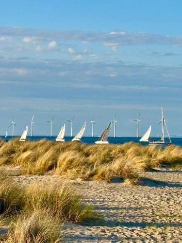 a group of sail boats on the beach with windmills at Seafront Lux Apt, Central, Beach, Direct Airport Metro in Copenhagen