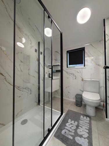 a bathroom with a toilet and a tv on the wall at Glowstay 2 in Lampeter