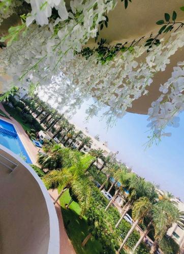 an overhead view of a resort with palm trees and a pool at The hidden oasis, steps from the beach and pool in Mohammedia