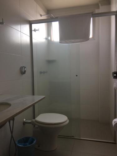 La salle de bains est pourvue de toilettes et d'une douche en verre. dans l'établissement Assi Palace Hotel, à Mirassol