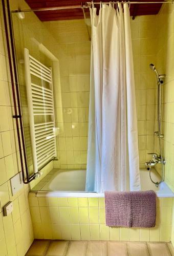 a bathroom with a tub and a shower with a window at The Yugo House in Bohinj