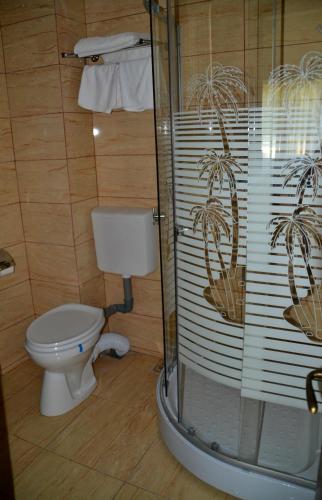 Gallery image of Hotel Stogu in Băile Olăneşti