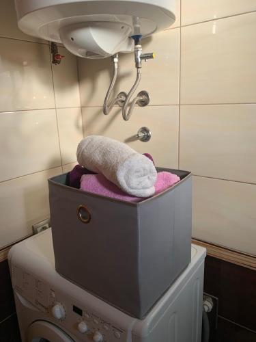 a box on top of a washing machine with towels at Golden Lilly Apartment in Bihać