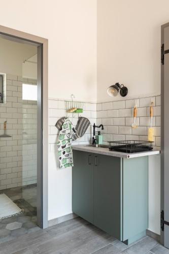 a kitchen with a sink and a counter top at 1HA Tagyon Vendégház in Tagyon