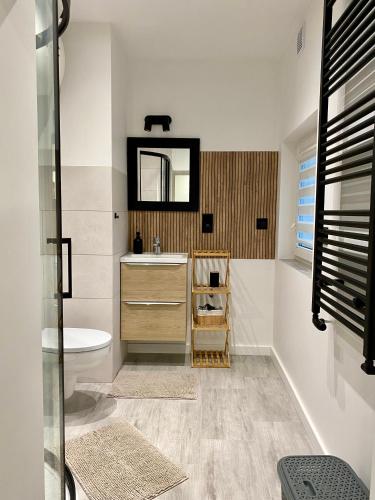 a bathroom with a sink and a toilet and a mirror at AT Apartament in Pasłęk