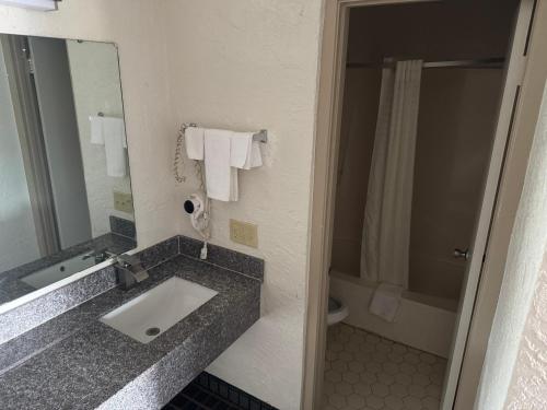a bathroom with a sink and a mirror and a shower at Bonifay Inn in Bonifay