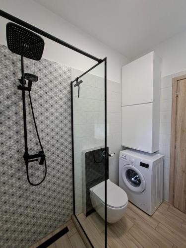 a bathroom with a shower with a toilet and a washing machine at Három Testvér Apartman in Siófok