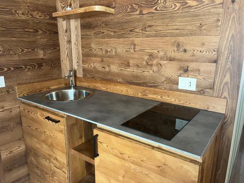 a kitchen with a sink and a wooden wall at La Crevasse Morgex in Morgex