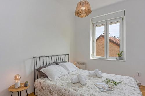 Spacious Apartment In Heart Of Zagreb - Happy Rentals