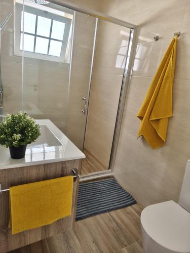 a bathroom with a shower and a toilet and a sink at North Wind House in Peniche