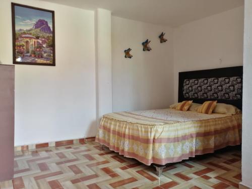 a bedroom with a bed and a picture on the wall at Hotel Sicarú in Chapulco