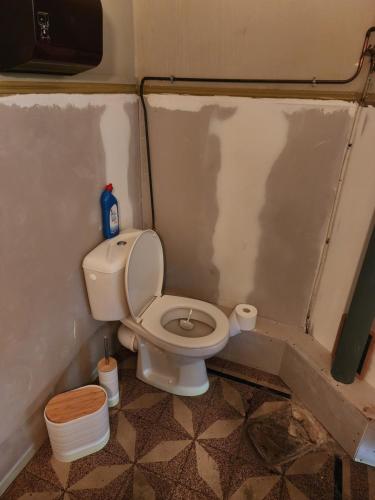 a small bathroom with a toilet in a room at Manoir, vaste parc arboré in Montbron