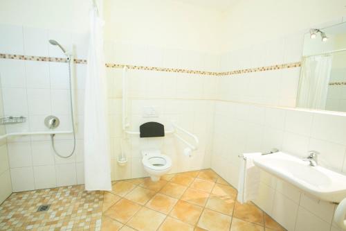 ein Bad mit einem WC, einem Waschbecken und einer Dusche in der Unterkunft Gasthof zur Post in Eberfing