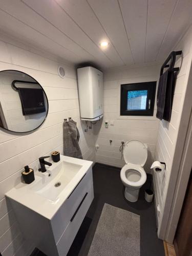 a small bathroom with a sink and a toilet at Tinyhouse Na Zemi in Žďár nad Sázavou