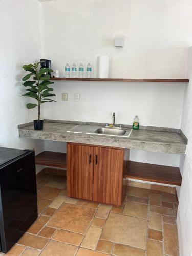 a kitchen counter with a sink and a potted plant at Beachfront Condominium in Tulum in Tulum