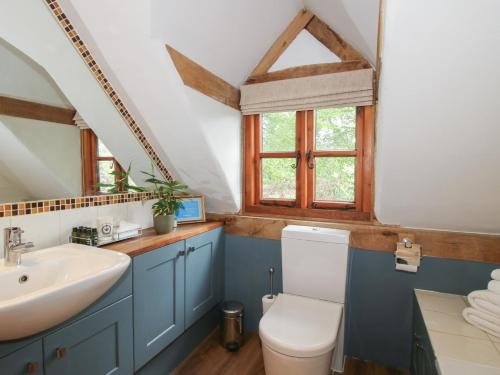 a bathroom with a white toilet and a sink at Pultheley Cottage in Montgomery