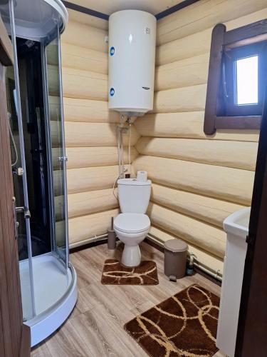 a bathroom with a toilet and a shower at Тихий світанок in Synevyrsʼka Polyana