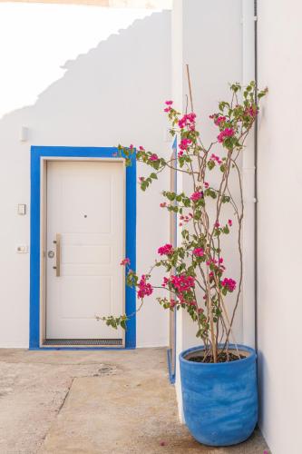 a blue pot with pink flowers in front of a door at B&B di MARE in Orta Nova