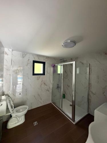a bathroom with a shower and a toilet and a sink at Forest View Villa in Ilijaš