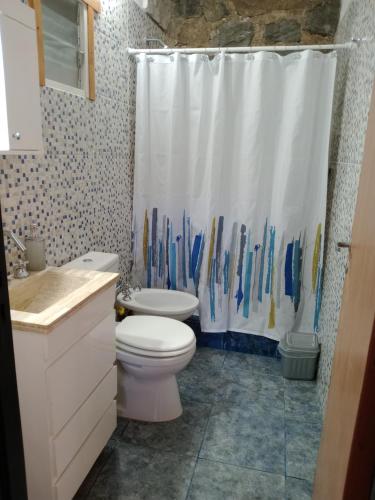 a bathroom with a toilet and a shower curtain at Cerros Azules in Trapiche