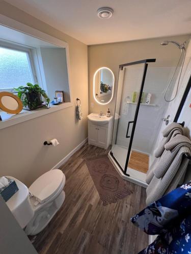 a bathroom with a toilet and a shower at Old Stone Inn in Estevan