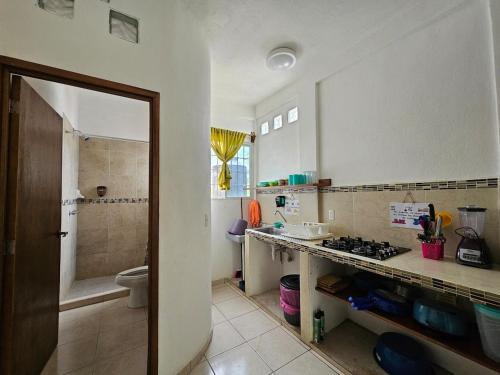 a bathroom with a sink and a toilet and a shower at Alojamiento La Vista in Barrio Nuevo