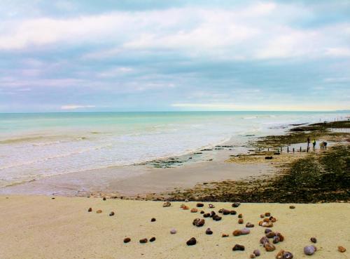a beach with rocks on the sand and the ocean at Le clos des mûriers in Hautot-sur-Mer