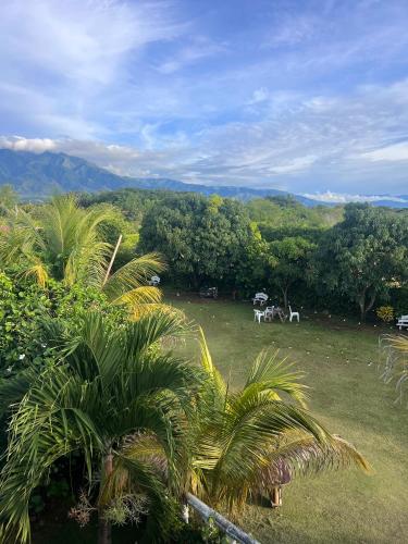 a green field with palm trees and mountains in the background at Finca Hotel Villa el Ocaso Huila in Rivera