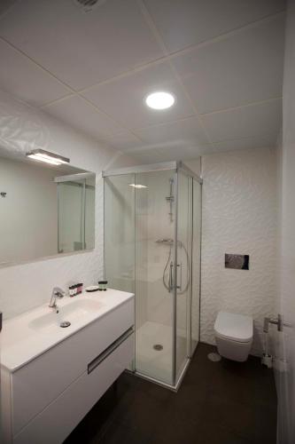a bathroom with a sink and a shower and a toilet at Apartamentos Massó in Albacete