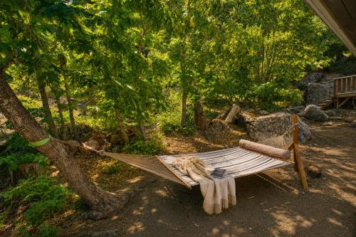a hammock sitting in the shade of a tree at Icicle Chalet in Leavenworth