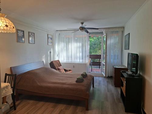 a bedroom with a bed and a television and a chair at Üdülő in Gárdony