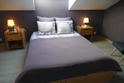 sypialnia z dużym łóżkiem z poduszkami i 2 lampami w obiekcie Aux Cosmos w mieście Olne
