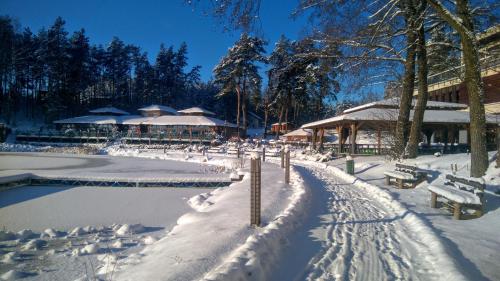 a park covered in snow with benches and a pool at Domki Kaszuby - jezioro las i zoo w Szarlocie in Kościerzyna