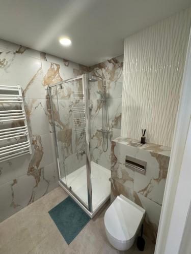 a bathroom with a shower and a toilet at S14 Apartment in Vilnius