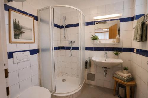 a bathroom with a shower and a sink at Ausee Lodges Blindenmarkt in Blindenmarkt